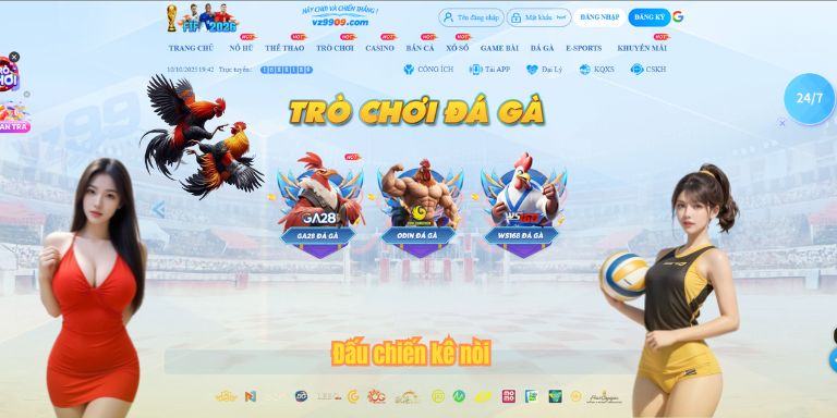 Đấu chiến kê nòi