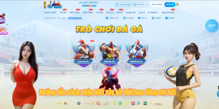 Hướng dẫn cách nhận biết vảy gà thới hoa đăng chi tiết