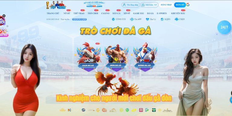 Kinh nghiệm cho người mới chơi đấu gà đòn