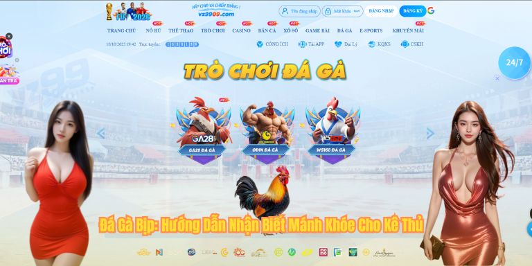 Đá Gà Bịp: Hướng Dẫn Nhận Biết Mánh Khóe Cho Kê Thủ 4 Đá Gà Bịp: Hướng Dẫn Nhận Biết Mánh Khóe Cho Kê Thủ