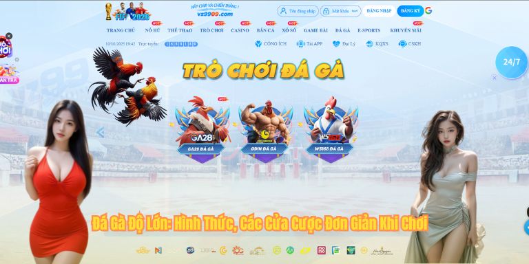 Đá Gà Độ Lớn: Hình Thức, Các Cửa Cược Đơn Giản Khi Chơi 3 Đá Gà Độ Lớn: Hình Thức, Các Cửa Cược Đơn Giản Khi Chơi